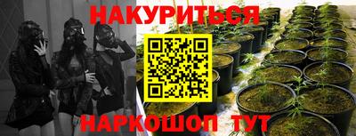ПСИЛОЦИБИНОВЫЕ ГРИБЫ Аргун