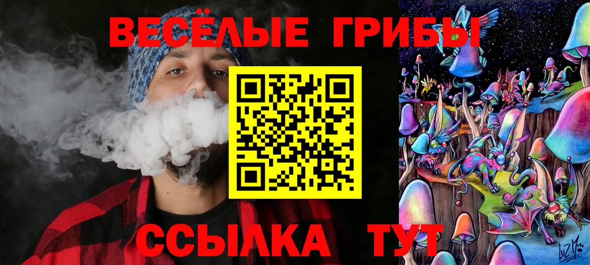 Галлюциногенные грибы Cubensis  Будённовск 
