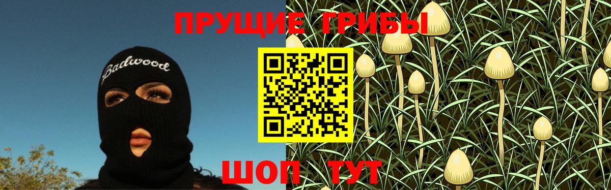 Галлюциногенные грибы ЛСД Будённовск