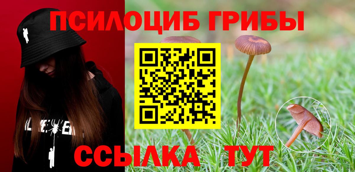 Будённовск  Конопля  Меф   Экстази  ГАШИШ  COCAIN  Вход с VPN  Alpha-PVP СОЛЬ кристаллы 